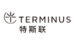 特斯联TERMINUS